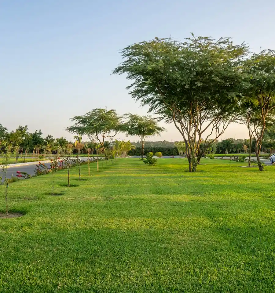 CRC Maesta   amenities